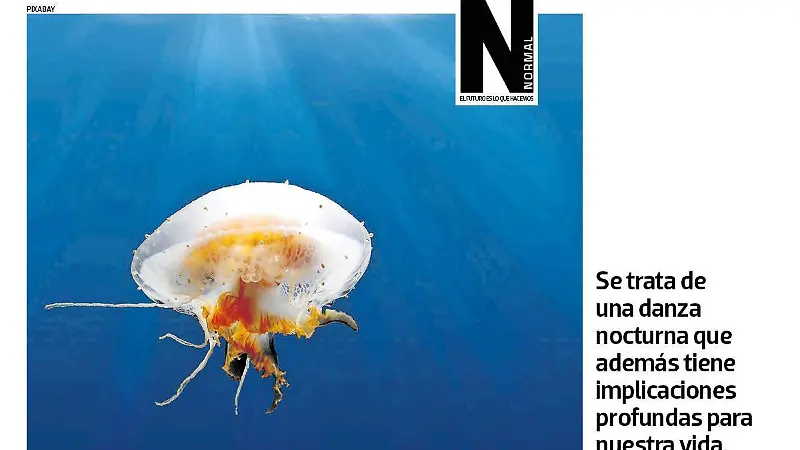 Migración oculta SITIO3